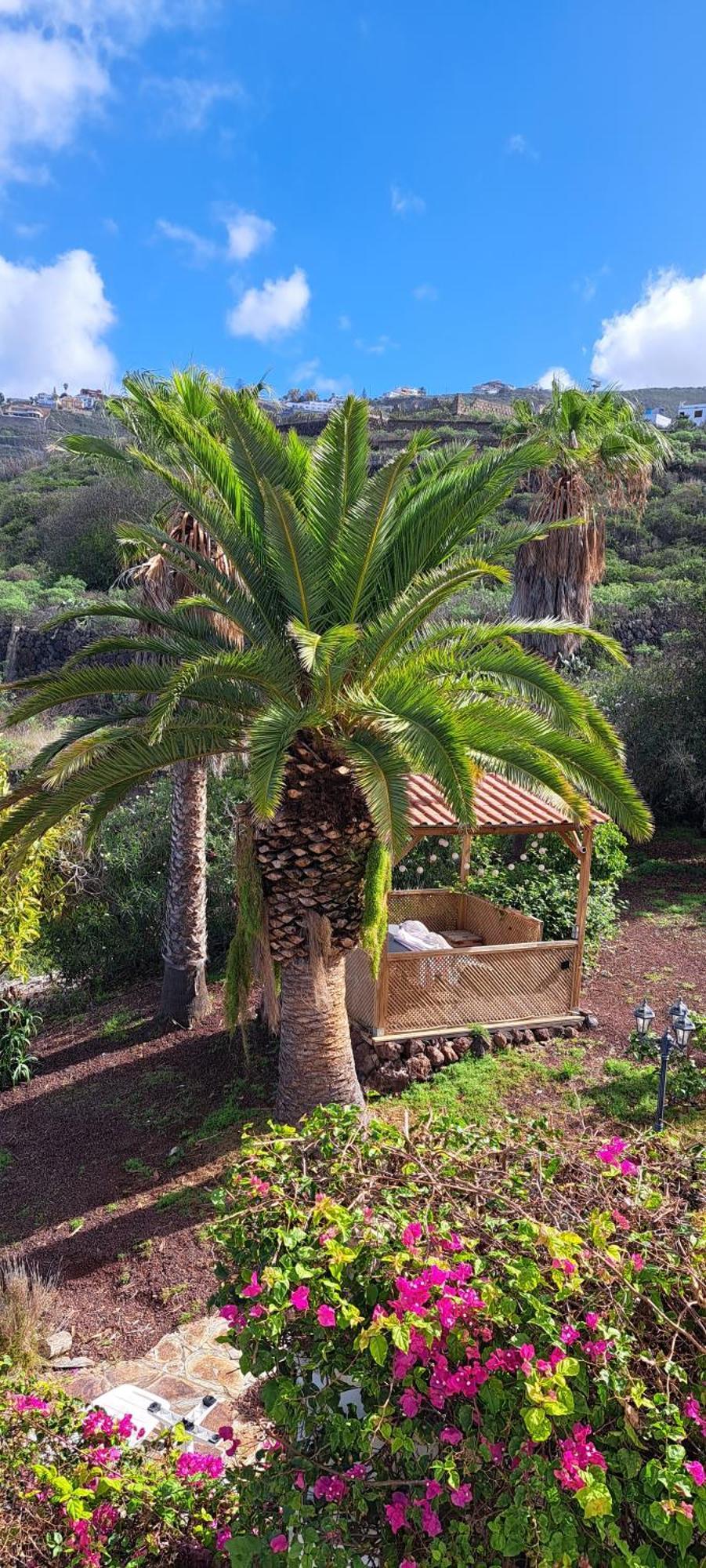Villa Larnia De Tenerife Sauzal Exterior photo