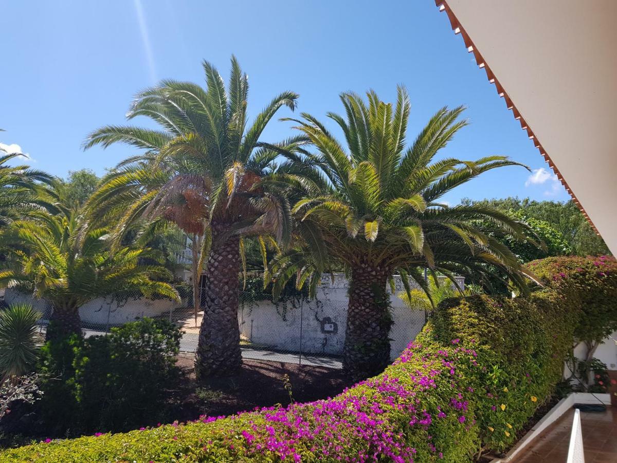 Villa Larnia De Tenerife Sauzal Exterior photo